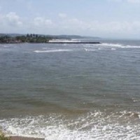 Ver anúncio COD ref#1572