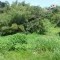 Foto ﾹ6 Lote/terreno Venda em Bahia, Ilheus, Malhado