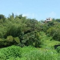 Ver anúncio COD ref#1572