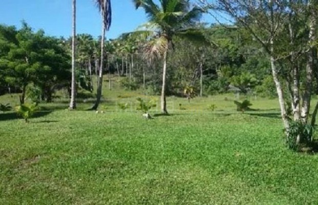 Foto ﾹ1 Fazenda/Sítio Venda em Bahia, Ilheus, Coutos