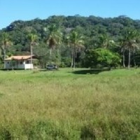 Ver anúncio COD ref#1573