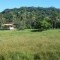 Foto ﾹ2 Fazenda/Sítio Venda em Bahia, Ilheus, Coutos