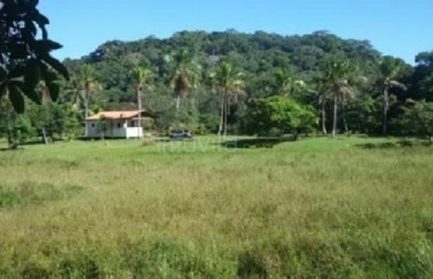 Foto ﾹ2 Fazenda/Sítio Venda em Bahia, Ilheus, Coutos