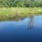 Foto ﾹ3 Fazenda/Sítio Venda em Bahia, Ilheus, Coutos