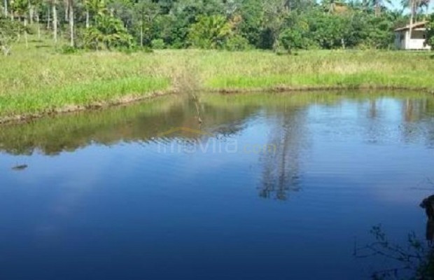 Foto ﾹ3 Fazenda/Sítio Venda em Bahia, Ilheus, Coutos