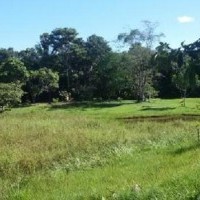 Ver anúncio COD ref#1573