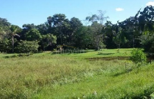 Foto ﾹ4 Fazenda/Sítio Venda em Bahia, Ilheus, Coutos