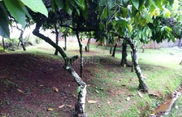 Foto ﾹ3 Fazenda/Sítio Venda em Bahia, Ilheus, Malhado