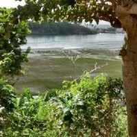 Ver anúncio COD ref#1577