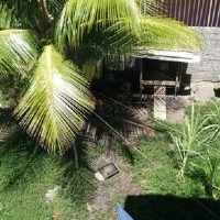 Ver anúncio COD ref#1580