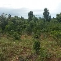 Ver anúncio COD ref#1595