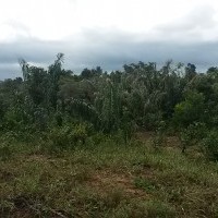 Ver anúncio COD ref#1595