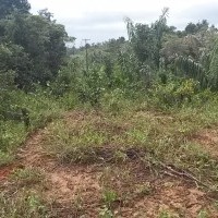 Ver anúncio COD ref#1595