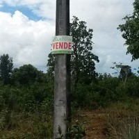 Ver anúncio COD ref#1595