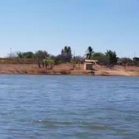 Ver anúncio COD ref#1650