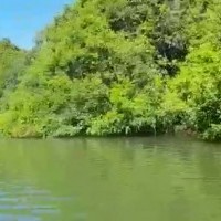 Ver anúncio COD ref#1650