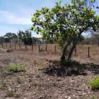 Ver anúncio COD ref#1650