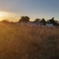 Ver anúncio COD ref#1650