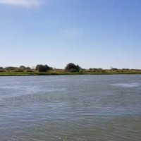 Ver anúncio COD ref#1650