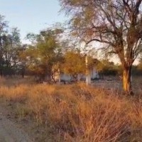 Ver anúncio COD ref#1650