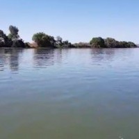 Ver anúncio COD ref#1650