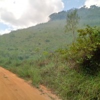 Ver anúncio COD ref#1710