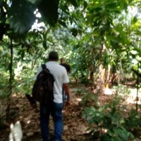 Ver anúncio COD ref#1710