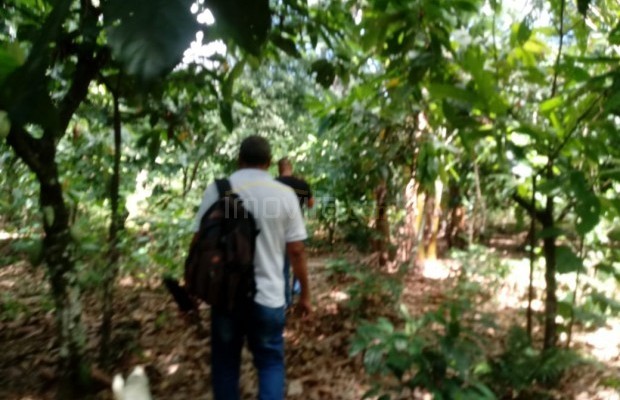 Foto ﾹ2 Fazenda/Sítio Venda em Bahia, Guaratinga, guaratinga