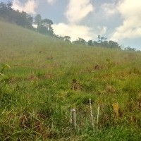 Ver anúncio COD ref#1710