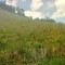 Foto ﾹ3 Fazenda/Sítio Venda em Bahia, Guaratinga, guaratinga