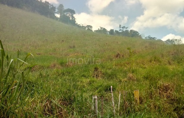 Foto ﾹ3 Fazenda/Sítio Venda em Bahia, Guaratinga, guaratinga