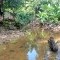 Foto ﾹ5 Fazenda/Sítio Venda em Bahia, Guaratinga, guaratinga