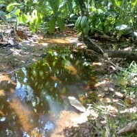 Ver anúncio COD ref#1710