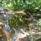 Foto ﾹ6 Fazenda/Sítio Venda em Bahia, Guaratinga, guaratinga