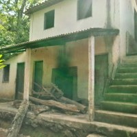 Ver anúncio COD ref#1710