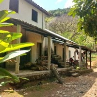 Ver anúncio COD ref#1710