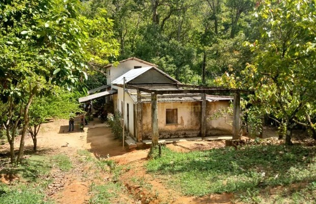 Foto ﾹ11 Fazenda/Sítio Venda em Bahia, Guaratinga, guaratinga