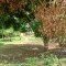 Foto ﾹ12 Fazenda/Sítio Venda em Bahia, Guaratinga, guaratinga
