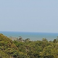 Ver anúncio COD ref#1843