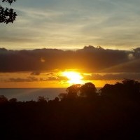 Ver anúncio COD ref#1843