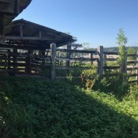 Ver anúncio COD ref#1845