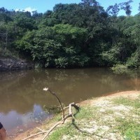 Ver anúncio COD ref#1845