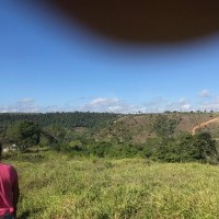 Ver anúncio COD ref#1845