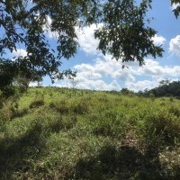 Ver anúncio COD ref#1845