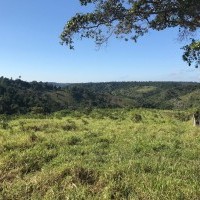 Ver anúncio COD ref#1845