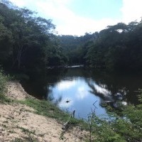 Ver anúncio COD ref#1845