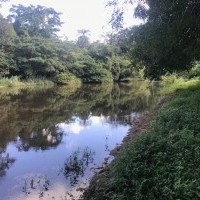 Ver anúncio COD ref#1845