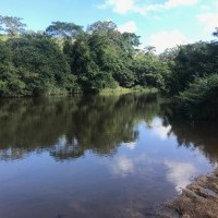 Ver anúncio COD ref#1845