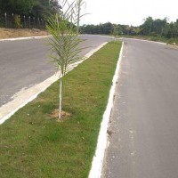 Ver anúncio COD ref#1865