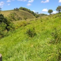 Ver anúncio COD ref#1874